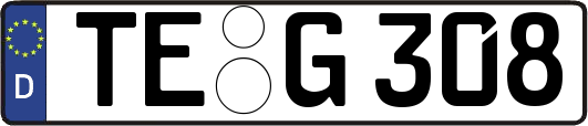TE-G308