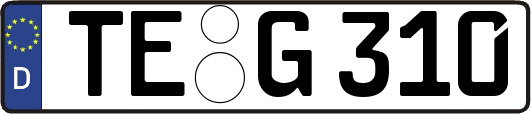TE-G310