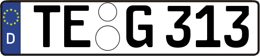 TE-G313