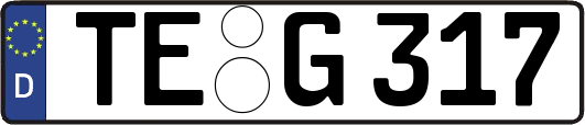 TE-G317