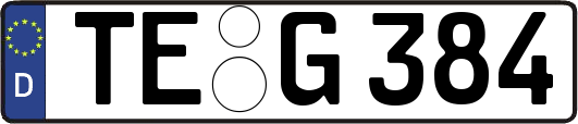 TE-G384