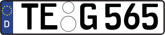 TE-G565