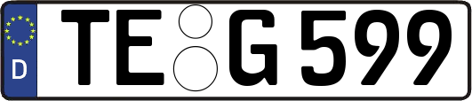 TE-G599