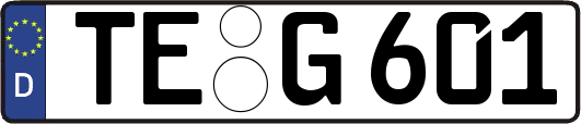 TE-G601