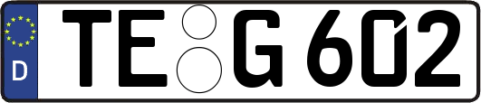 TE-G602