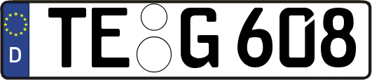 TE-G608