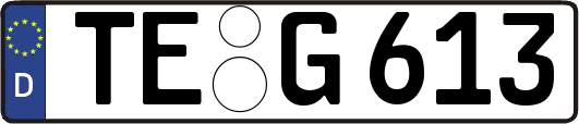 TE-G613