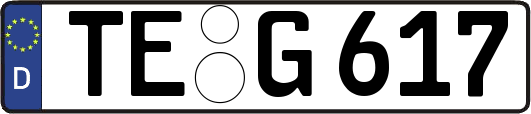TE-G617