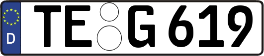 TE-G619