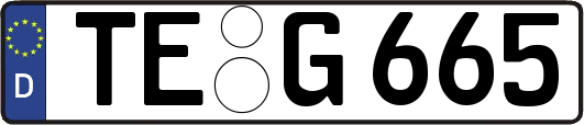 TE-G665