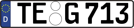 TE-G713