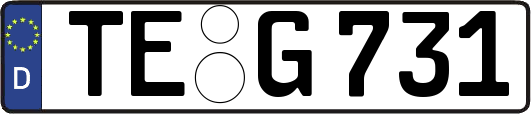 TE-G731