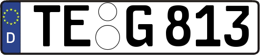 TE-G813