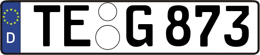 TE-G873