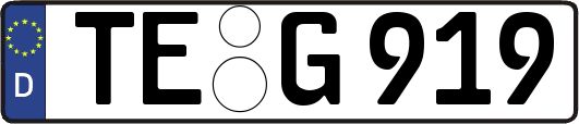 TE-G919