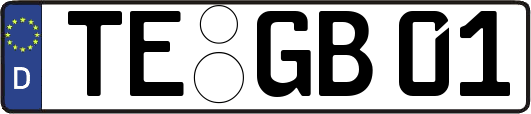TE-GB01