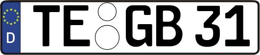 TE-GB31