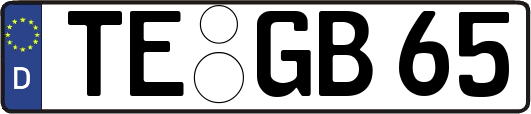 TE-GB65
