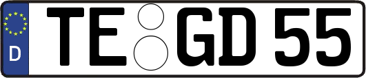 TE-GD55
