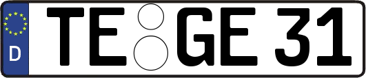 TE-GE31