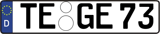 TE-GE73