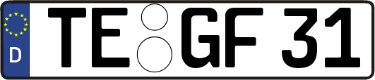 TE-GF31