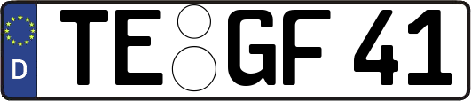 TE-GF41