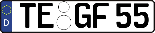 TE-GF55