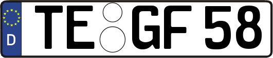 TE-GF58