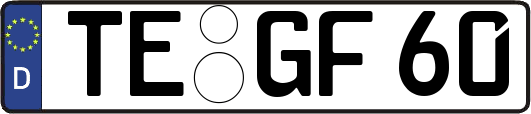TE-GF60