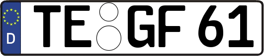 TE-GF61