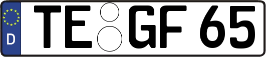TE-GF65