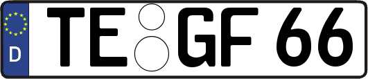TE-GF66