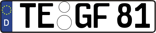 TE-GF81