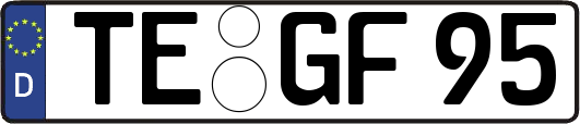 TE-GF95