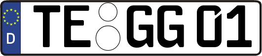 TE-GG01