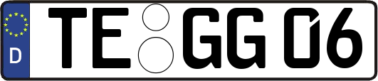 TE-GG06
