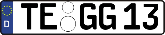 TE-GG13