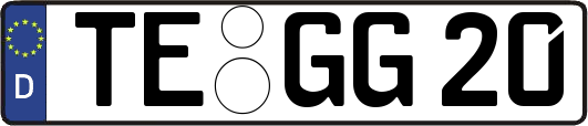 TE-GG20