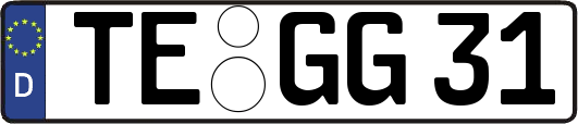 TE-GG31