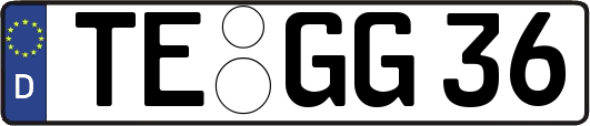 TE-GG36