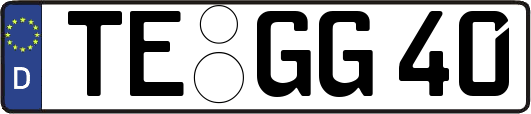 TE-GG40