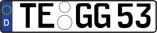 TE-GG53