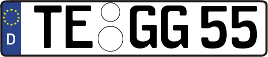 TE-GG55