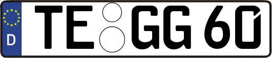 TE-GG60