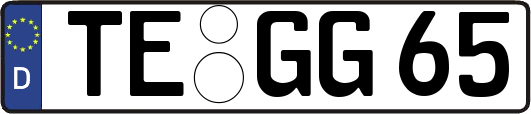 TE-GG65