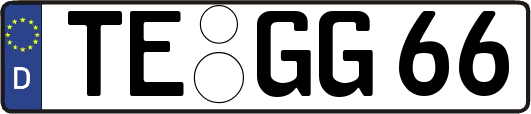 TE-GG66