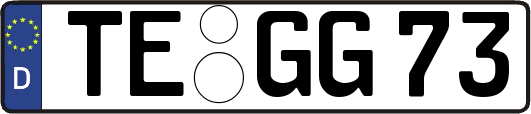 TE-GG73
