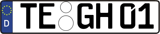 TE-GH01