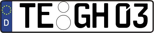 TE-GH03